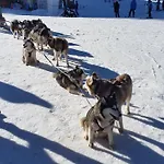 In Laplandia Pamporovo