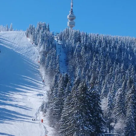 In Laplandia * Pamporovo