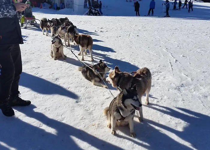 In Laplandia Pamporovo