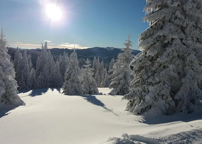 Apartment In Laplandia *