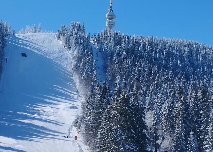 In Laplandia * Pamporovo